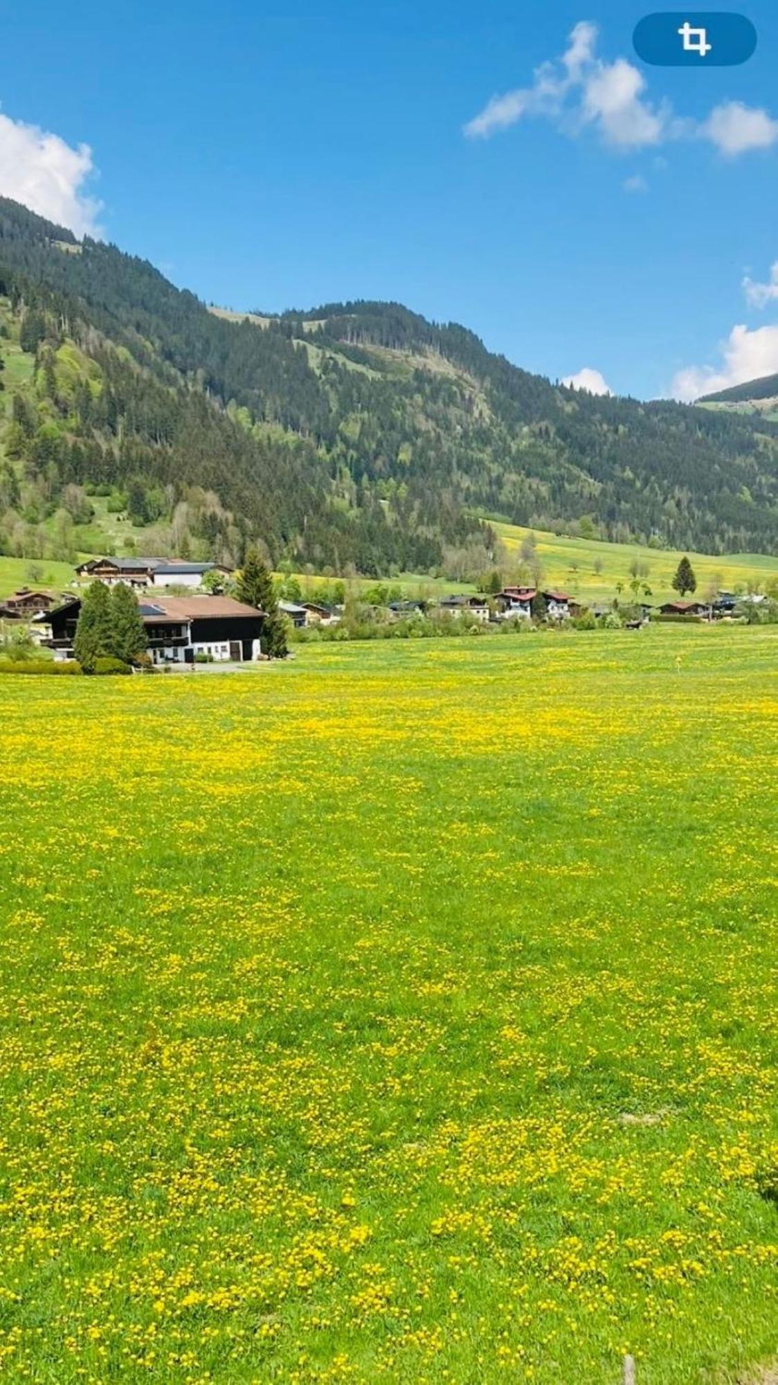 Landhaus Feller Reith bei Kitzbühel Exteriör bild